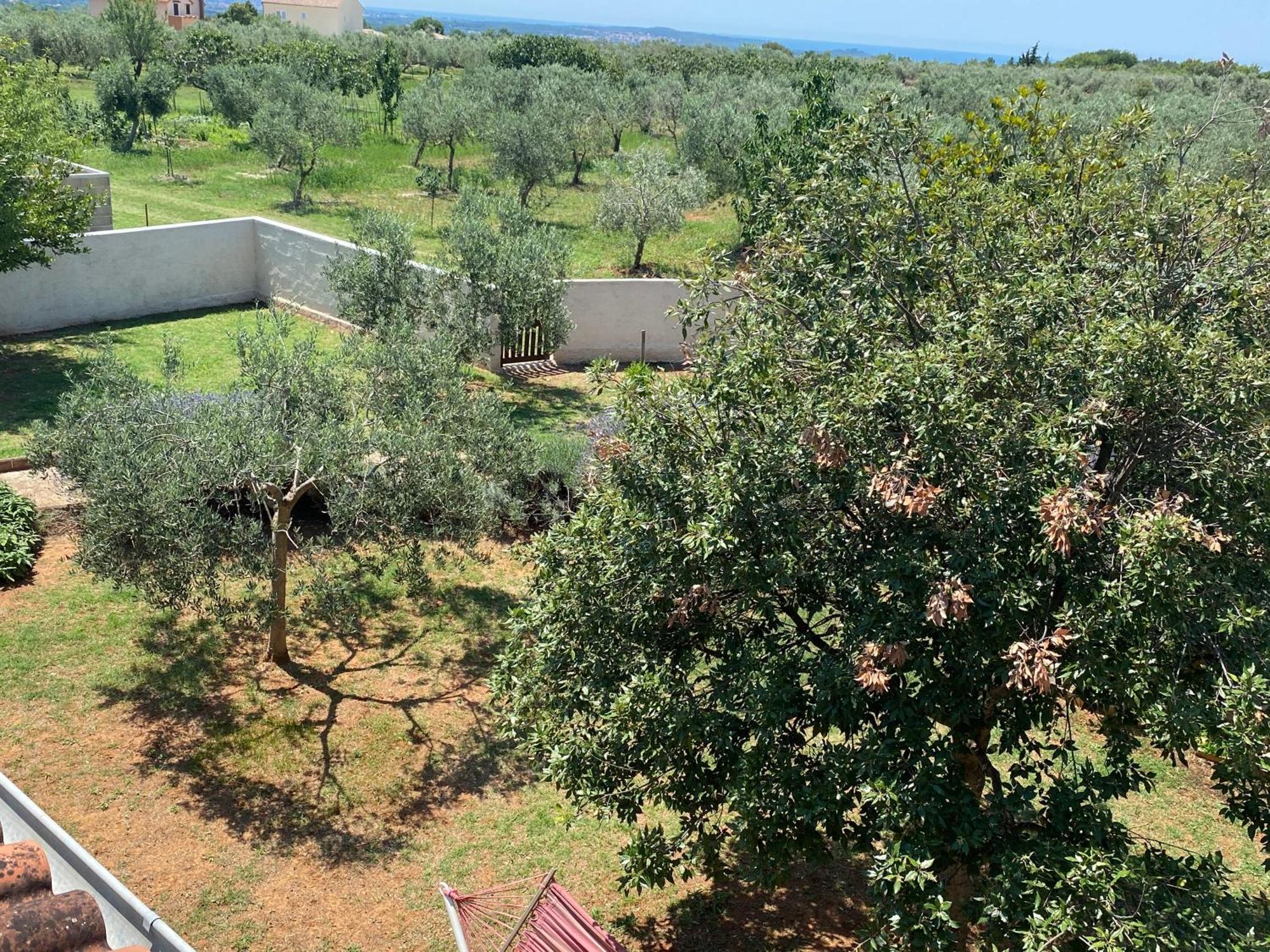Vacation Home Elba Vodnjan Room photo